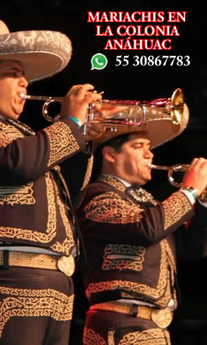 mariachis en la colonia anahuac